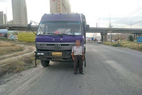 货运交通规划与道路货物运输的协同发展策略